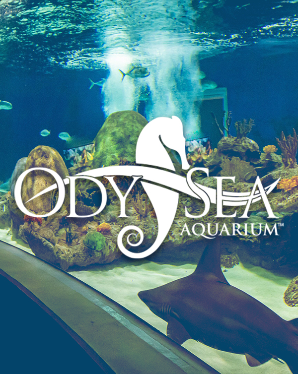 600X754 Odysea Aquarium
