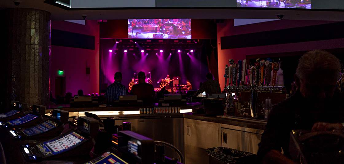 Zowie Bowie in the Showroom