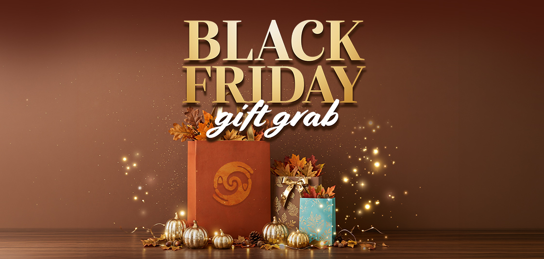 Black Friday Gift grab | Promotion at Talking Stick Resort